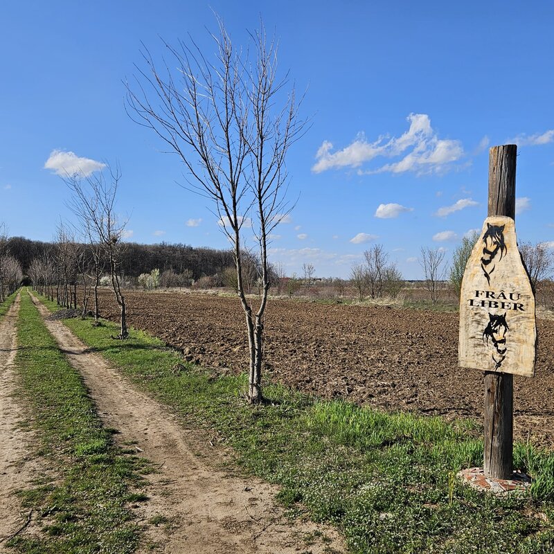 Sabareni, teren vecin cu padurea Sabareni (zona activitati recreative)