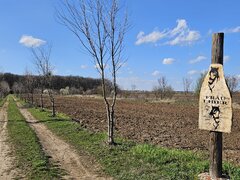 Sabareni, teren vecin cu padurea Sabareni (zona activitati recreative)