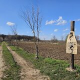 Sabareni, teren vecin cu padurea Sabareni (zona activitati recreative)